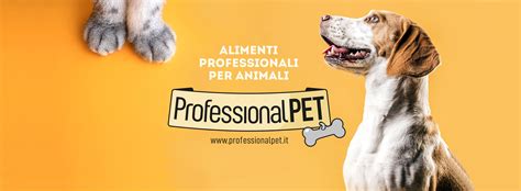 Dogstyle - 💋💇‍♀️ Fblifestyle Petcare Dogcare Doghealth Yorkiefashion Dogwig Petglowup Funnyyorkie Dogbeauty Petreels Instadog Yorkieworld Cutedog Dogstyle.